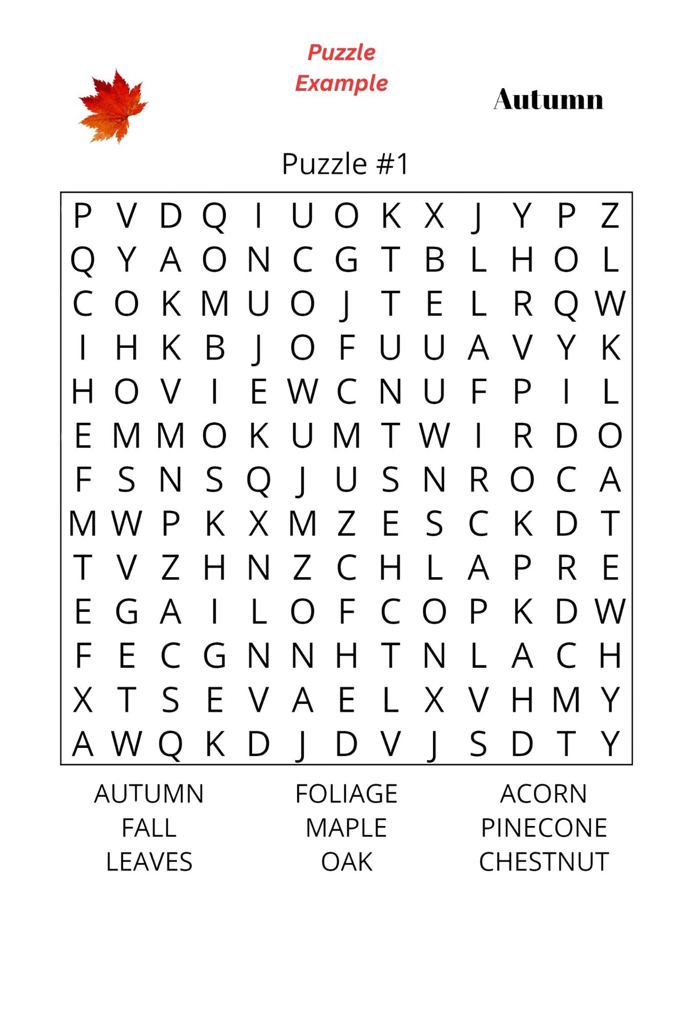Word Search - Autumn (Paperback)