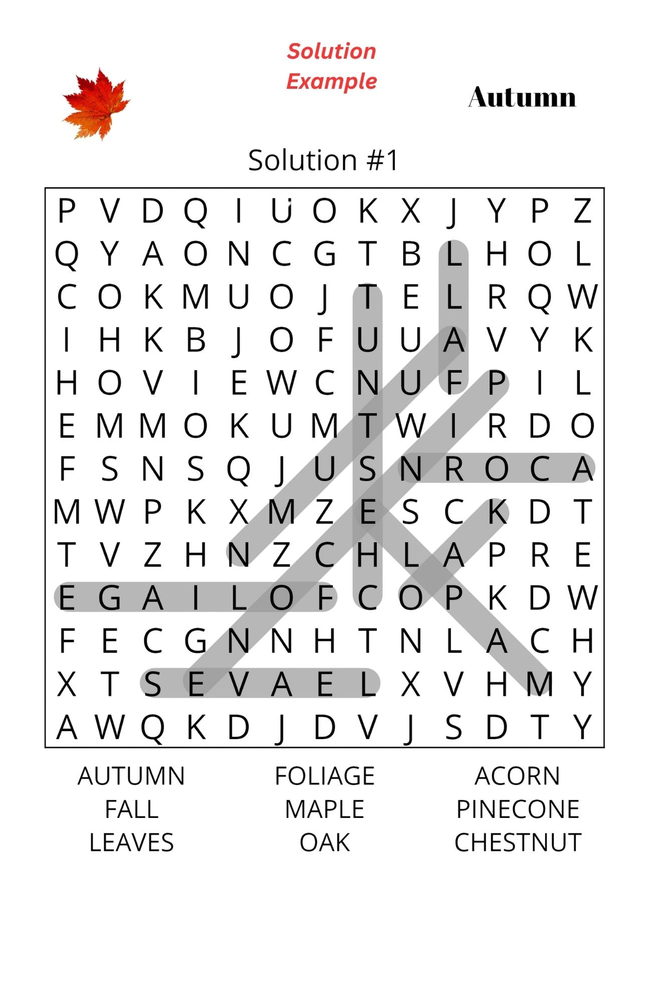 Word Search - Autumn (Paperback)