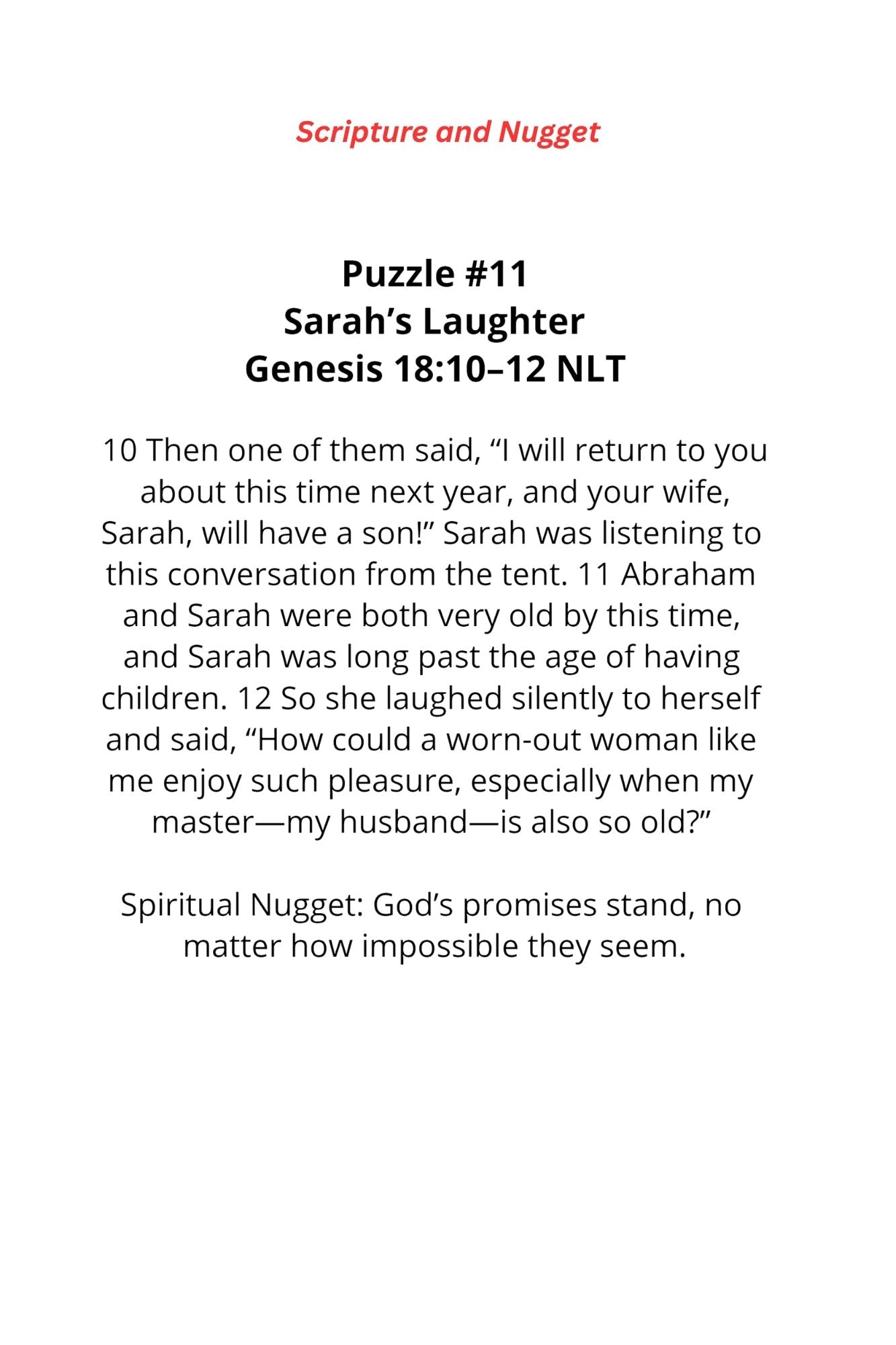 Word Search - Women in The Bible (Paperback)