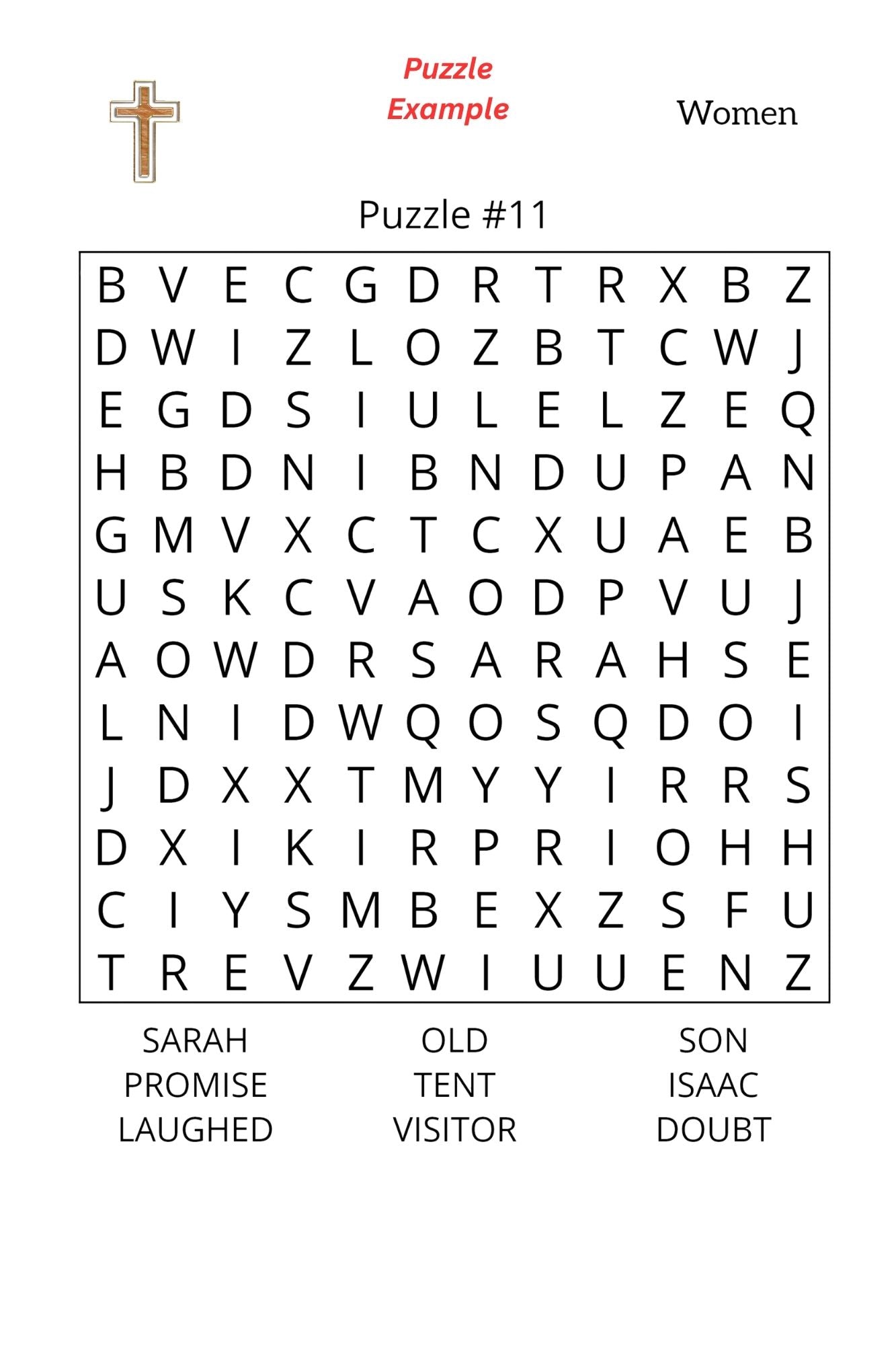 Word Search - Women in The Bible (Paperback)
