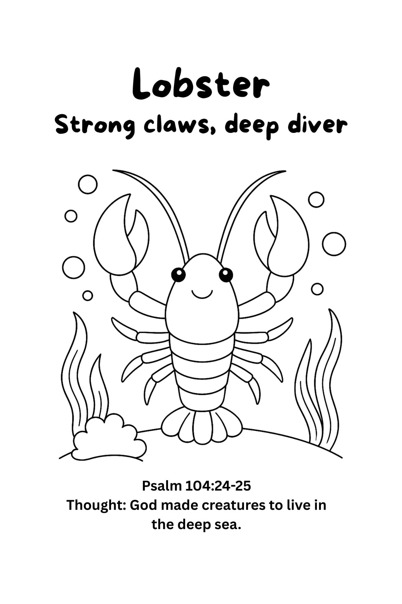 Coloring Book - Sea Creatures (Paperback)