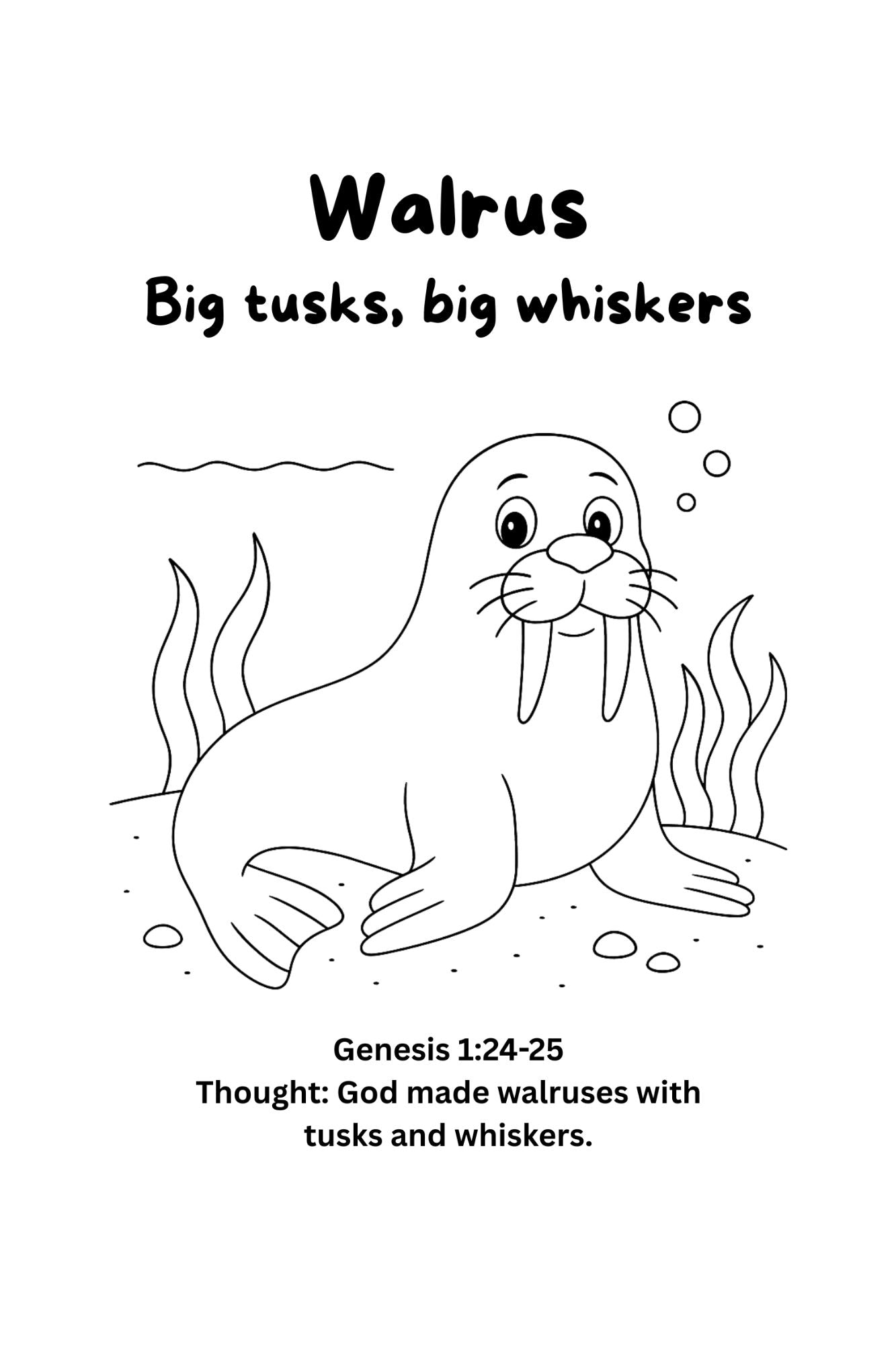 Coloring Book - Sea Creatures (Paperback)