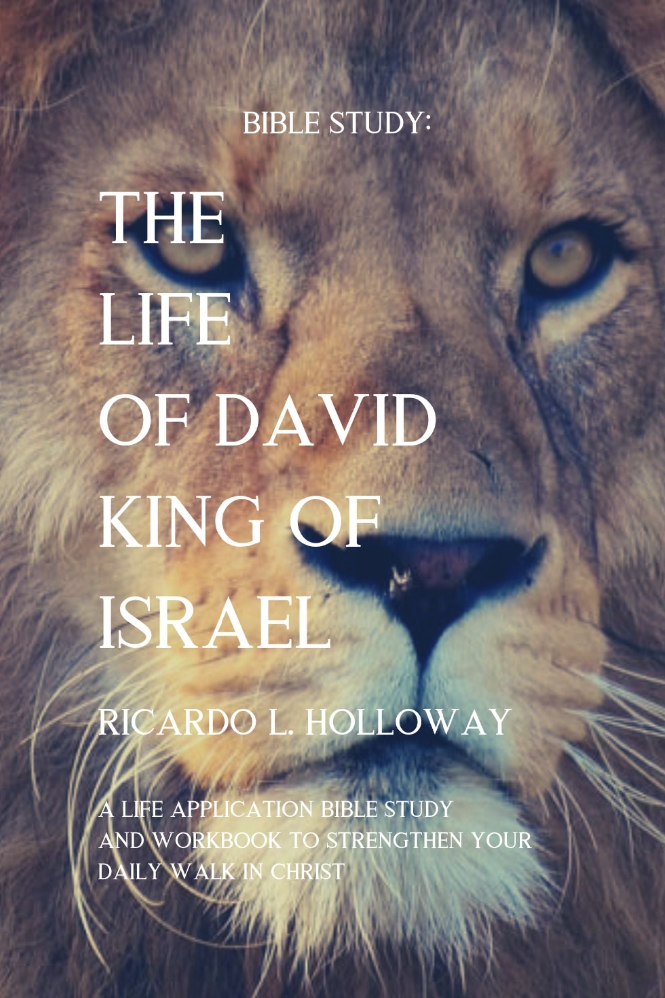Bible Study - The Life of David - King of Israel (Paperback)