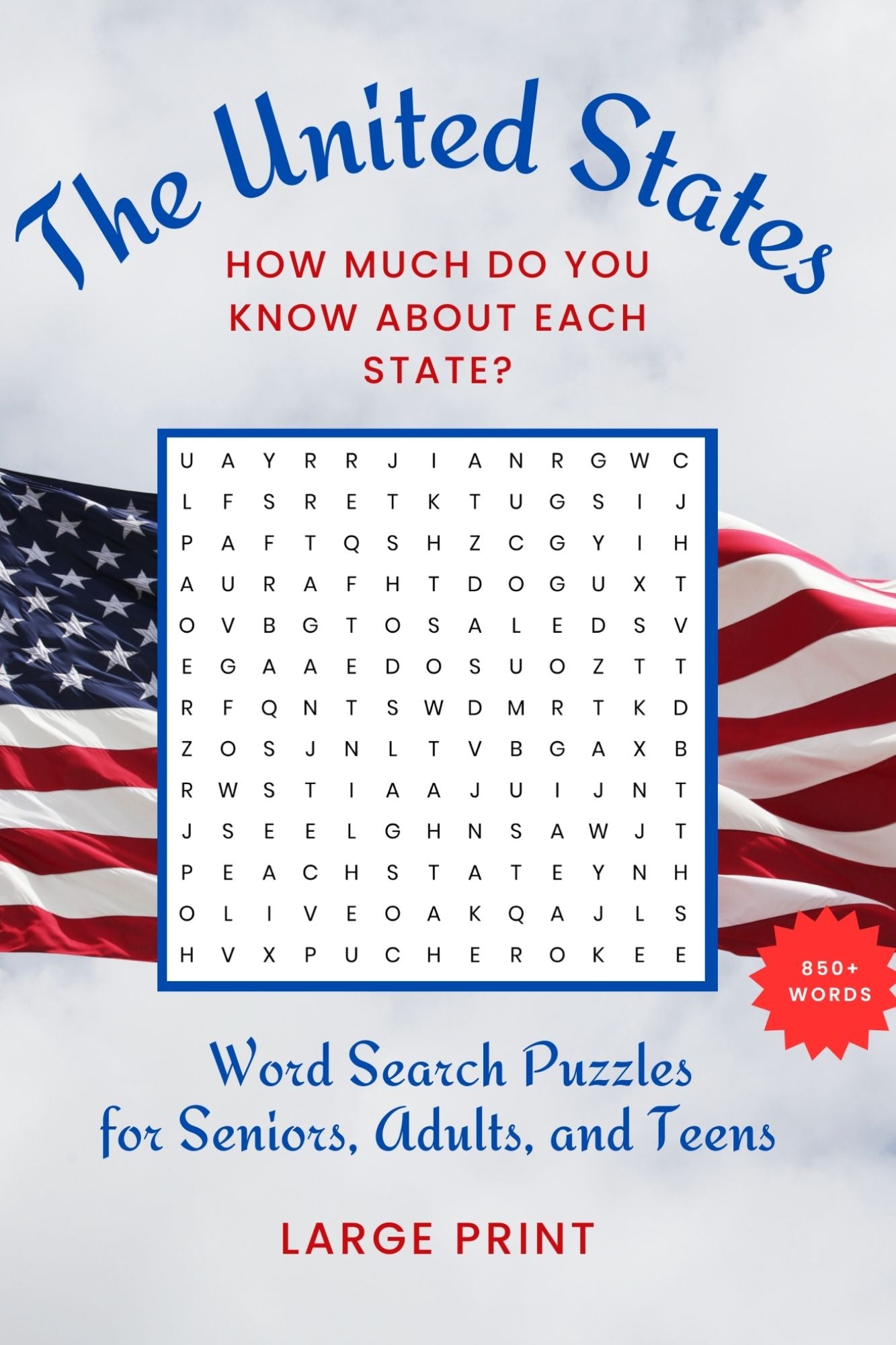 Word Search - United States (Paperback)