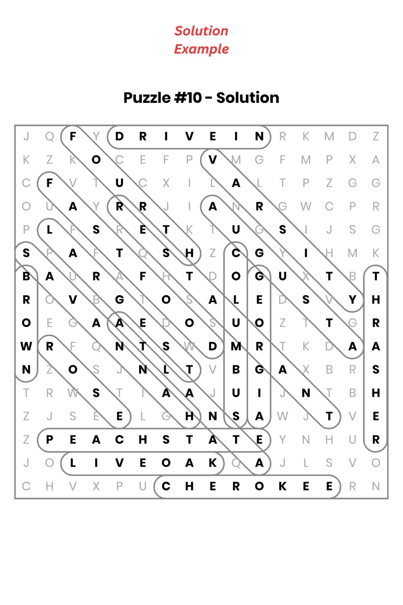 Word Search - United States (Paperback)