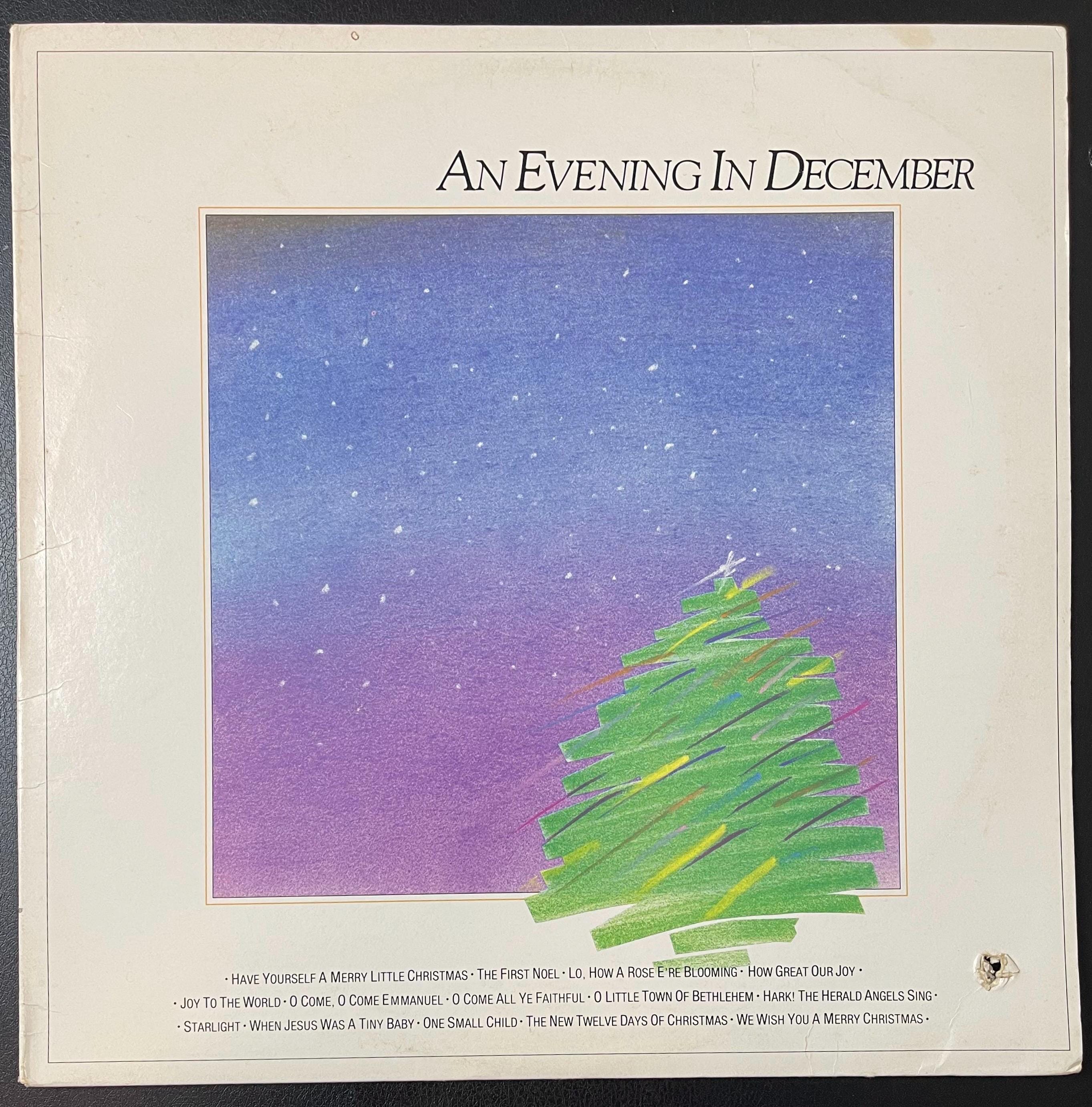Vintage Vinyl - Steven V Taylor - An Evening In December - Day Spring Records - Jazz/Pop/ Holiday – 1986 - VG+ / Vinyl Album