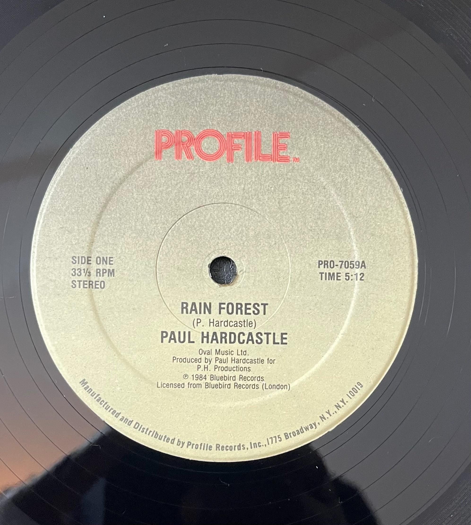 Vintage Vinyl – Paul Hardcastle - Rain Forest - Profile Records – 1985 - Funk/ Electronic - 12" Vinyl - VG+